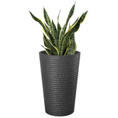 Time Treasure Home Ceramic-Look Resin Plant Pot