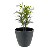 Time Treasure Home 35.5cm Self-Watering Plant Pot