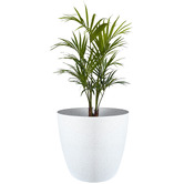 Time Treasure Home 35.5cm Self-Watering Plant Pot
