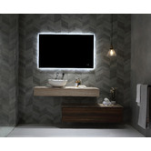 Luxe View Co Ramsey LED Demister Mirror