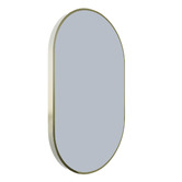 Luxe View Co Rosiers LED Oval Framed Bathroom Mirror