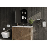Luxe View Co Powell Arch Mirrored Shaving Cabinet