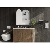 Luxe View Co Powell Arch Mirrored Shaving Cabinet