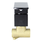 Aguzzo Terrus Wall Mounted Shower Mixer