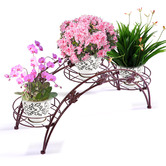 Oakleigh Home Decor Arch Wrought Iron Flower Rack
