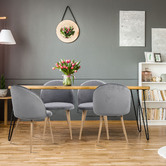 Oakleigh Home Emilie Velvet Dining Chairs
