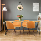 Oakleigh Home Emilie Velvet Dining Chairs