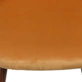 Oakleigh Home Emilie Velvet Dining Chairs