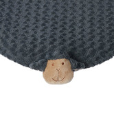 Oakleigh Home PaWz Squeaky Pet Mattress Pad