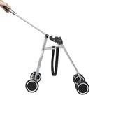 Oakleigh Home Ptolemais Pet Stroller