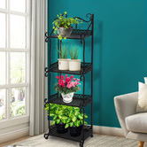 Oakleigh Home Bennett 4 Tier Steel Plant Stand