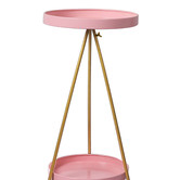 Oakleigh Home Bennett 2 Tier Steel Plant Stand
