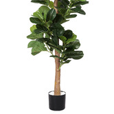 Oakleigh Home 180cm Potted Faux Fig Tree