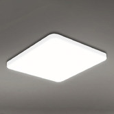 Oakleigh Home Urmia 40cm LED Ceiling Light