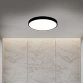 Oakleigh Home Kenyir 60cm LED Ceiling Light