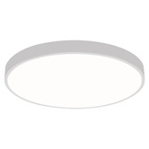Oakleigh Home Kenyir 30cm Acrylic LED Oyster Light