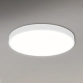 Oakleigh Home Kenyir 40cm LED Ceiling Light