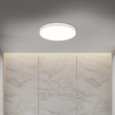 Oakleigh Home Kenyir 50cm Acrylic LED Oyster Light