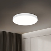 Oakleigh Home Kenyir 30cm Acrylic LED Oyster Light