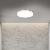 Oakleigh Home Kenyir 60cm LED Ceiling Light