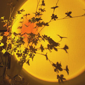 Oakleigh Home Yana LED Projection Lamp