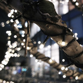 Oakleigh Home 100 Michelle LED Fairy Lights with Thicker String