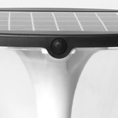 Oakleigh Home Owasco LED Solar Lawn Light