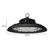 Oakleigh Home Black Craig LED High Bay Light