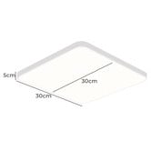 Oakleigh Home Urmia 30cm Acrylic LED Ceiling Light
