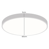 Oakleigh Home Kenyir 60cm LED Ceiling Light