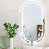 Oakleigh Home Larson Oval LED Wall Mirror
