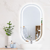 Oakleigh Home Larson Oval LED Wall Mirror