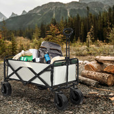 Oakleigh Home Zeth Outdoor Collapsible Wagon Cart