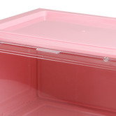 Oakleigh Home Kyro Shoe Storage Box