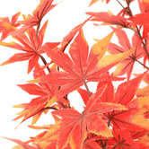 Oakleigh Home 180cm Potted Faux Maple Tree