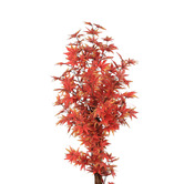 Oakleigh Home 180cm Potted Faux Maple Tree
