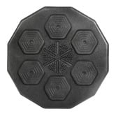 Oakleigh Home Fierro Electronic Boxing Training &amp; Music Machine