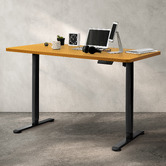 Oakleigh Home Justus 120cm Single Motor Electric Sit &amp; Stand Desk