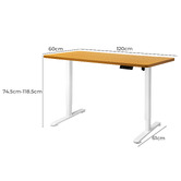 Oakleigh Home Justus 120cm Single Motor Electric Sit &amp; Stand Desk