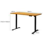 Oakleigh Home Justus 120cm Single Motor Electric Sit &amp; Stand Desk