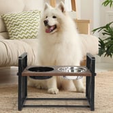 Oakleigh Home Bingo Elevated Dual Pet Bowl with Stand