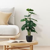 Oakleigh Home 50cm Potted Faux Montsera Plant