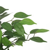Oakleigh Home 90cm Potted Faux Banyan Tree