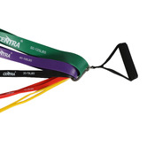 Oakleigh Home 10 Piece Pasco Resistance Band Set