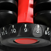 Oakleigh Home Dionne 24kg Adjustable Dumbbell