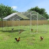 Oakleigh Home Ismare Walk-in Chicken Coop