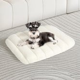 Oakleigh Home Wrenix Orthopedic Dog Bed