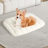 Oakleigh Home Wrenix Orthopedic Dog Bed