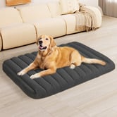 Oakleigh Home Wrenix Orthopedic Dog Bed