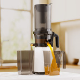 Oakleigh Home Norwich 1L Stainless Steel Cold Press Juicer